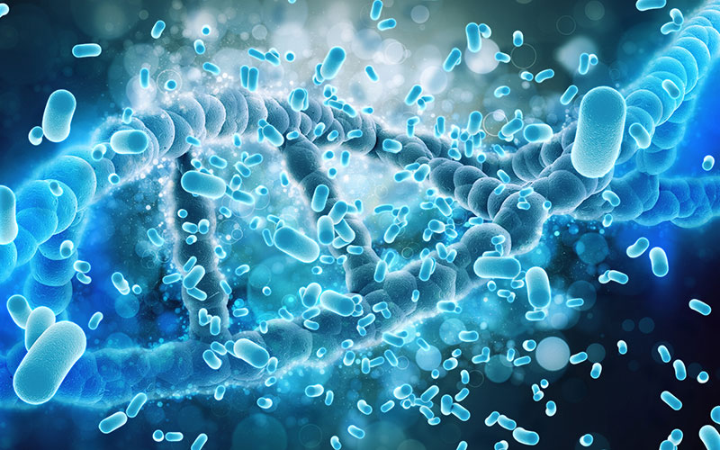 Bakterien, wie sie in wasserführenden Systemen auftreten können – eingebettet in Biofilme und mitunter Auslöser gesundheitlicher Risiken.