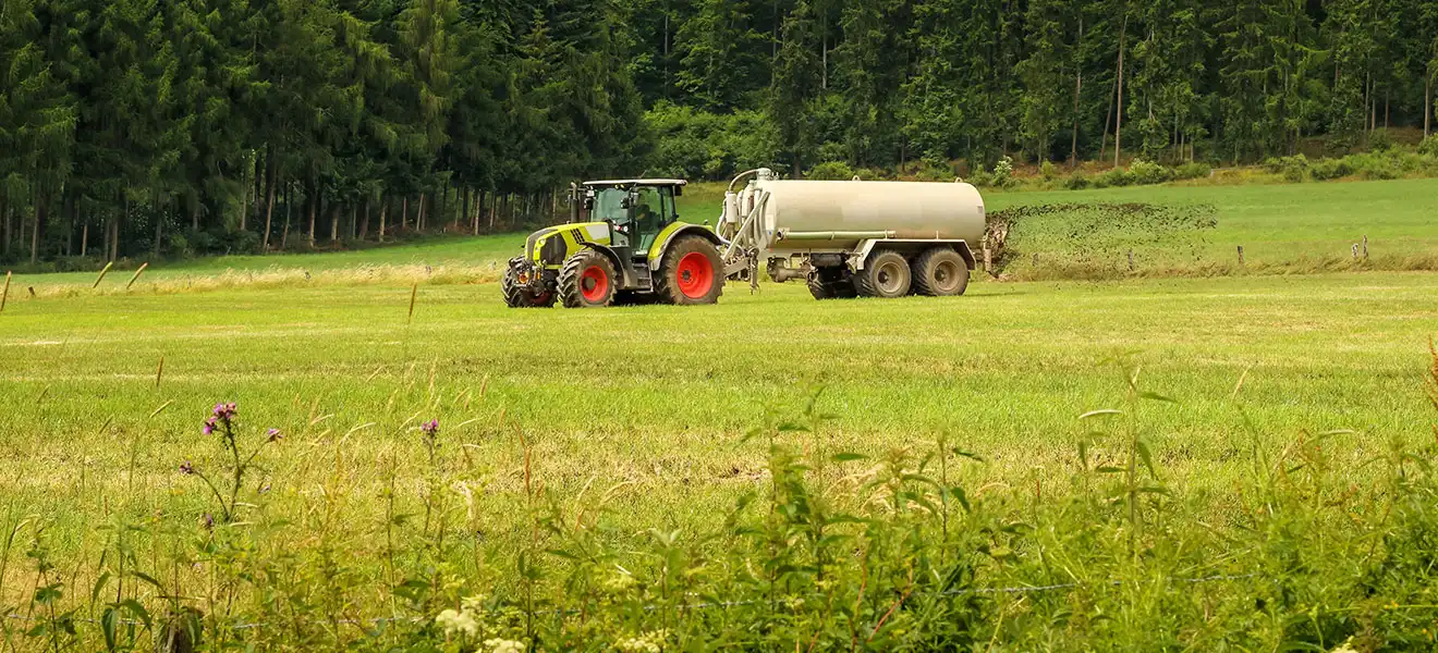 Foto: Raphael Koch | adobe stock