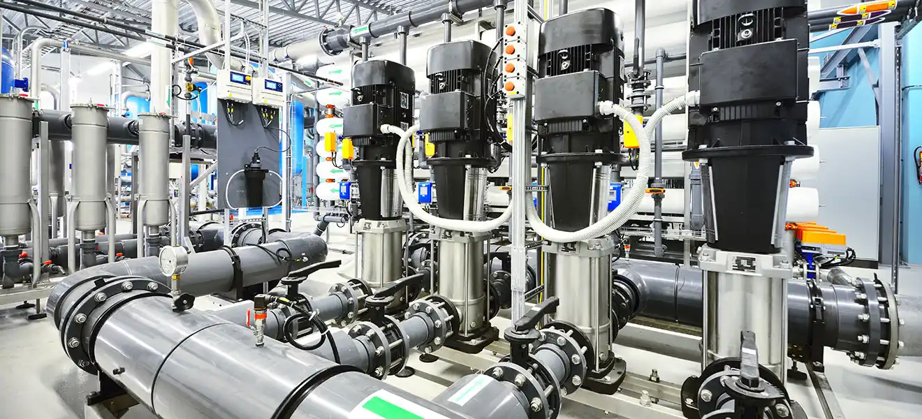 Foto: Alex Stemmer | adobe stock